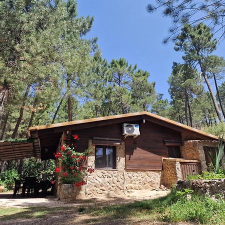 Cabaña en plena naturaleza Parque Natural Río mundo Riópar Exterior foto