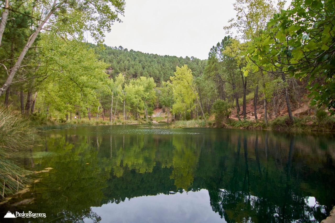 Cabaña en plena naturaleza Parque Natural Río mundo Riópar Exterior foto