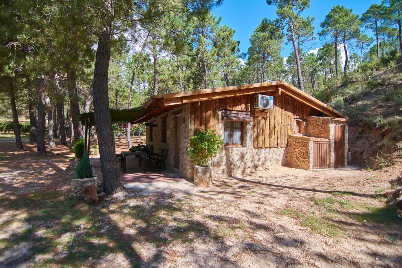Cabaña en plena naturaleza Parque Natural Río mundo Riópar Exterior foto