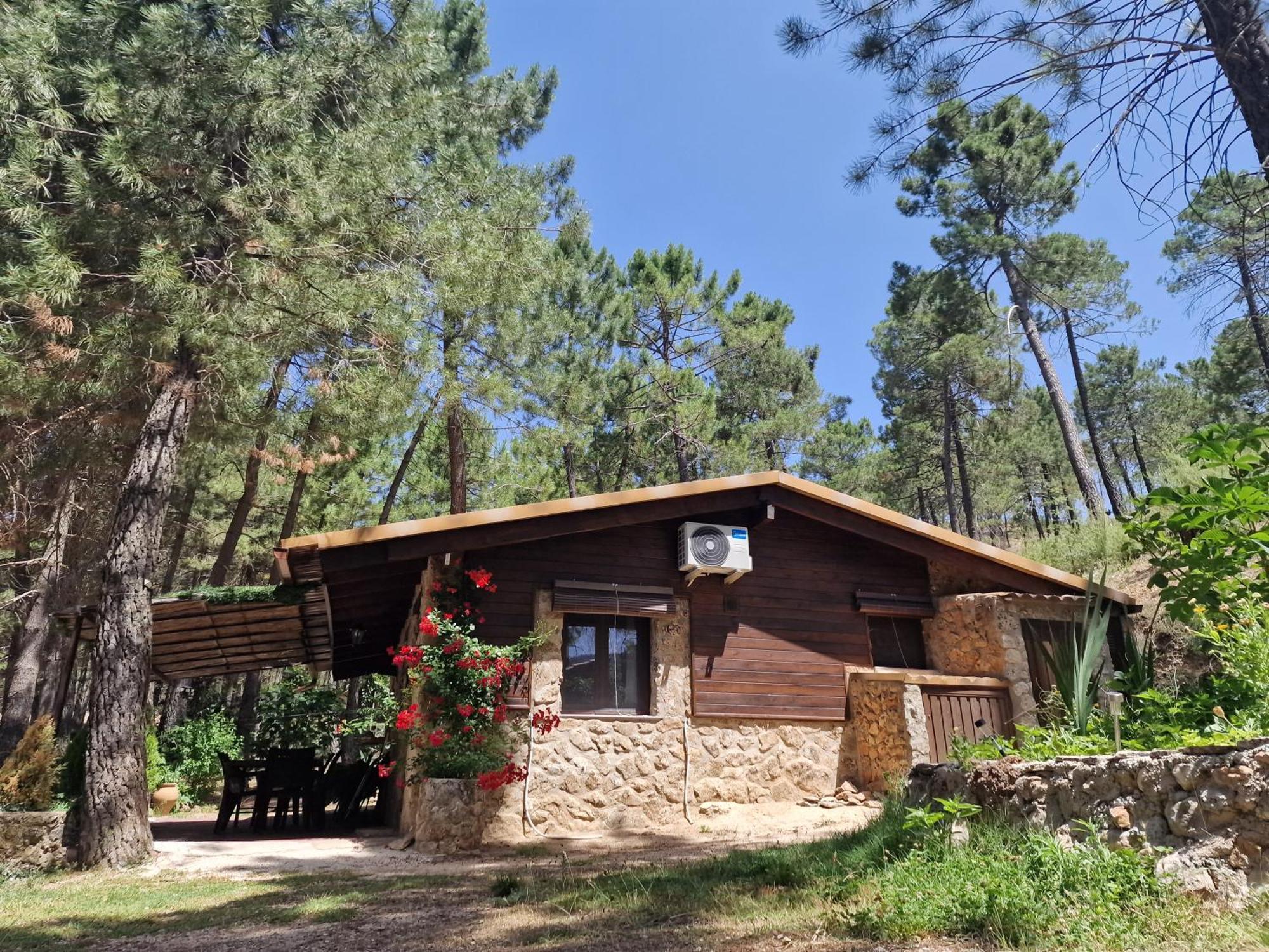 Cabaña en plena naturaleza Parque Natural Río mundo Riópar Exterior foto