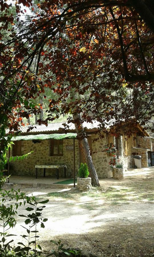 Cabaña en plena naturaleza Parque Natural Río mundo Riópar Exterior foto