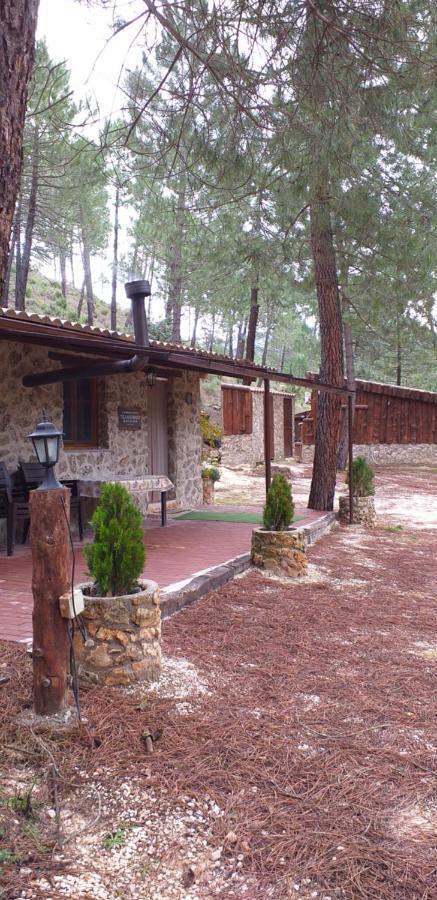 Cabaña en plena naturaleza Parque Natural Río mundo Riópar Exterior foto