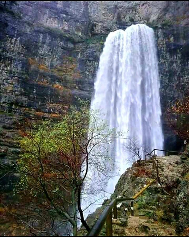 Cabaña en plena naturaleza Parque Natural Río mundo Riópar Exterior foto